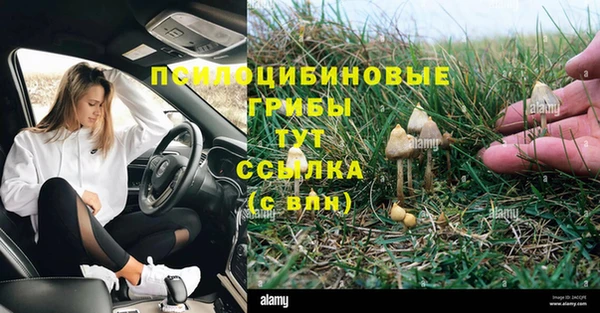 прущий лед Арсеньев
