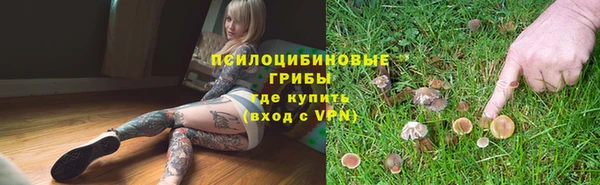 твердый Армянск