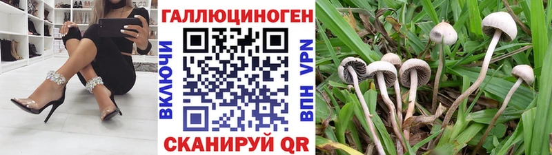 Галлюциногенные грибы прущие грибы  как найти   Череповец 